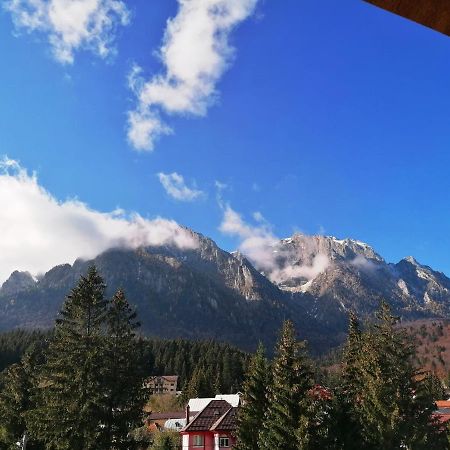 Casa Magica Буштени Экстерьер фото